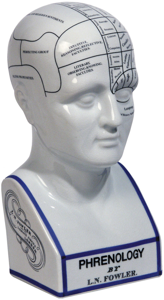 Phrenology Head