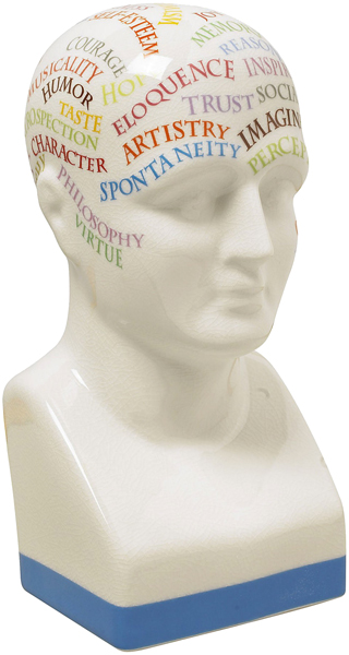 Colorful Phrenology Head